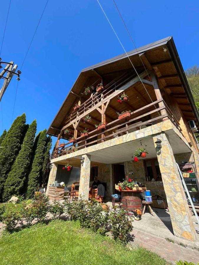 Apartman "Kapetana Luka" Ljubovija エクステリア 写真